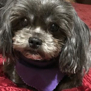 Meet your Posher, Anita